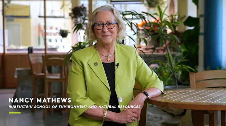 Dean Nancy Mathews Farewell and Fundraising Challe...