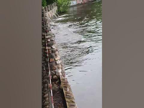 заборчик вдоль берега - YouTube