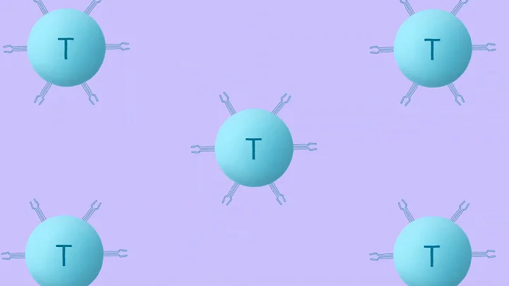 CAR T-Cell Therapy at Fox Chase