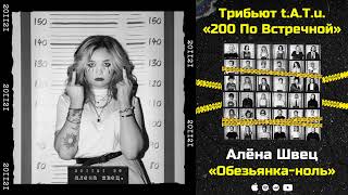 Алёна Швец — Обезьянка-ноль «Трибьют t.A.T.u. 200 по встречной»