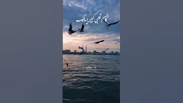 لصبر حدود أم كلثوم 