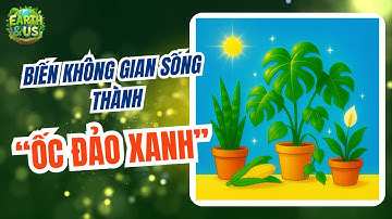 5 LOẠI CÂY LỌC KHÔNG KHÍ tuyệt nhất cho mọi nhà || Earth & Us