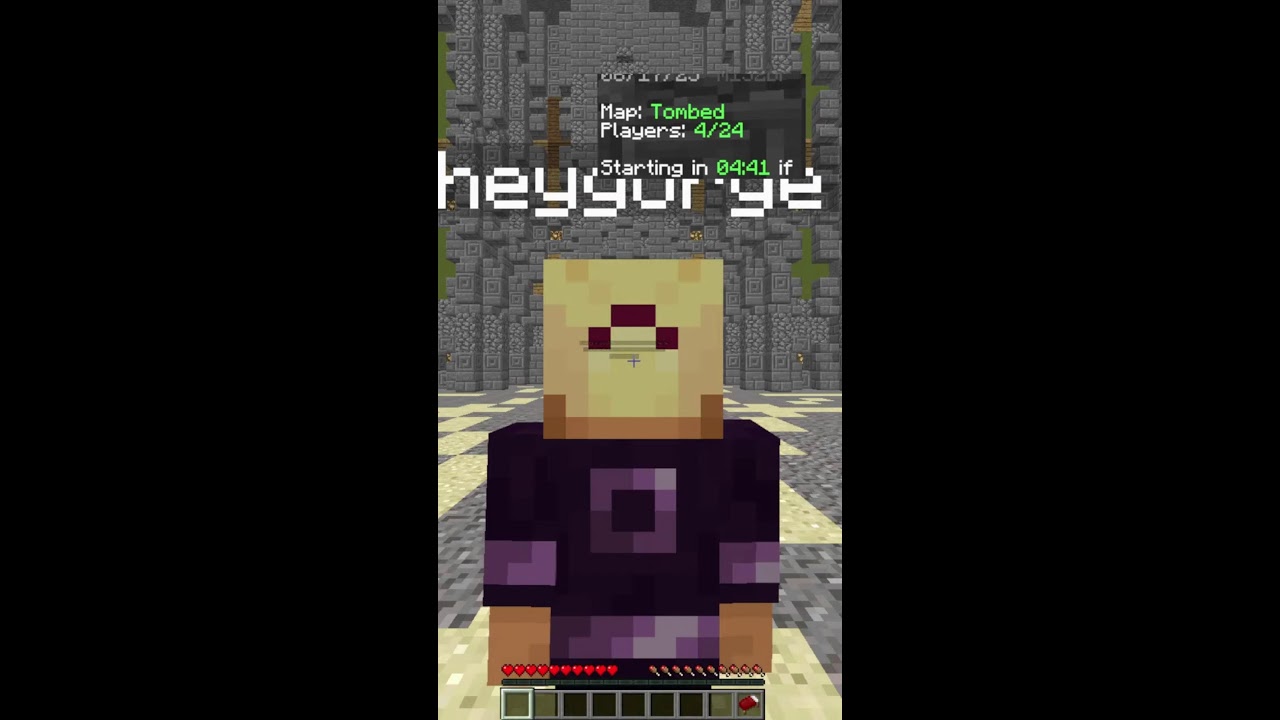 Minecraft Stream