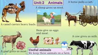 Grade 1 Science Unit 2: Animals (Reading & Explanation pg 11 &12)