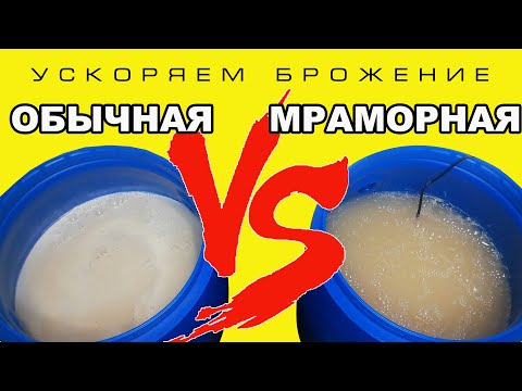 БРАГА БЫСТРО. УСКОРЕНИЕ СБРАЖИВАНИЯ. БАНКА И МРАМОР В БРАГЕ. БРАГА ЗА ТРИ ДНЯ НА СУХИХ ДРОЖЖАХ