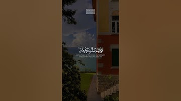 {أَوَلَمۡ یَرَوۡا۟ إِلَى ٱلطَّیۡرِ فَوۡقَهُمۡ صَـٰۤفَّـٰتࣲ} | كامل يوسف البهتيمي | سورة الملك.