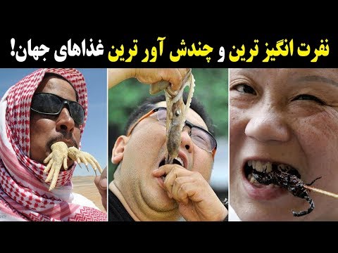 تصویری: خزنده ترین غذاهای جهان