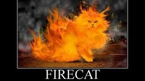 FireFall FireCat Battleframe Guide