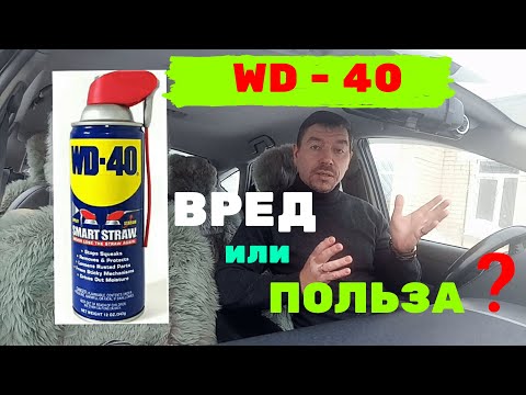Video: Mogu li koristiti wd40 za uklanjanje bugova iz automobila?