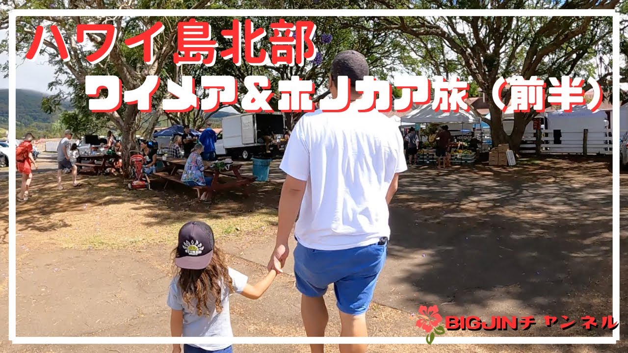 ハワイ島北部探訪　ワイメア＆ホノカアの旅　前半