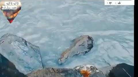 اجمل تلاوة القرآن الكريم 💖 هادئ ارح سمعك بذكر الله