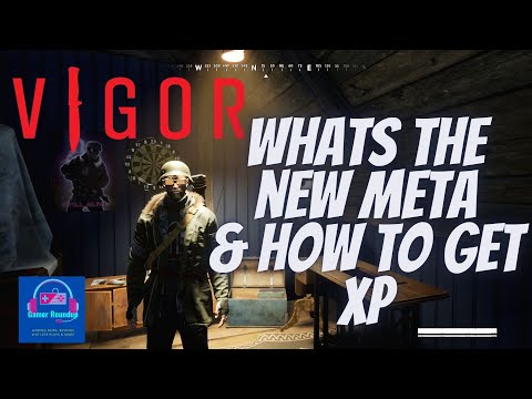 Vigor New Meta and XP Missing Tips