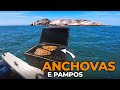 PESCAMOS EM CIMA DO CARDUME! E já virou ASSADO no barco