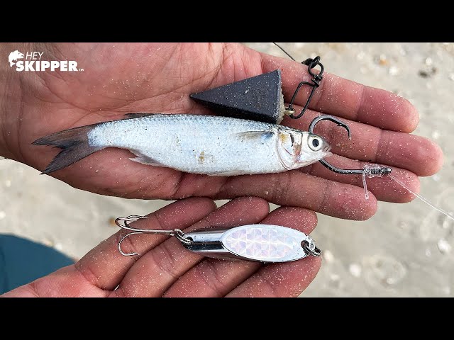 REAL VS FAKE: Bottom Bait VS Lure Fishing! 