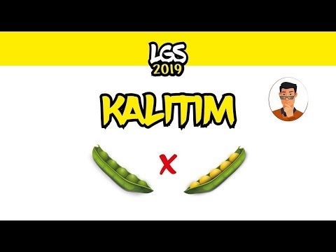 Kalıtım / 8. Sınıf