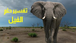 تفسير حلم الفيل - ماذا تعني رؤية الفيل في المنام للرجل والمرأة ؟ وهل هو خير أم شر مستطير ؟