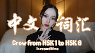 How to Learn Chinese Characters: a Full Guide for Studying Vocabulary screenshot 5