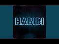 Habibi