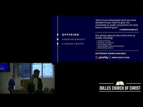 Video preview
