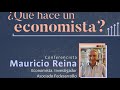 1 qu hace un economista mauricio reina