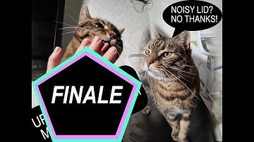 SureFeed Microchip Pet Feeder - Noise when lid closes FINALE