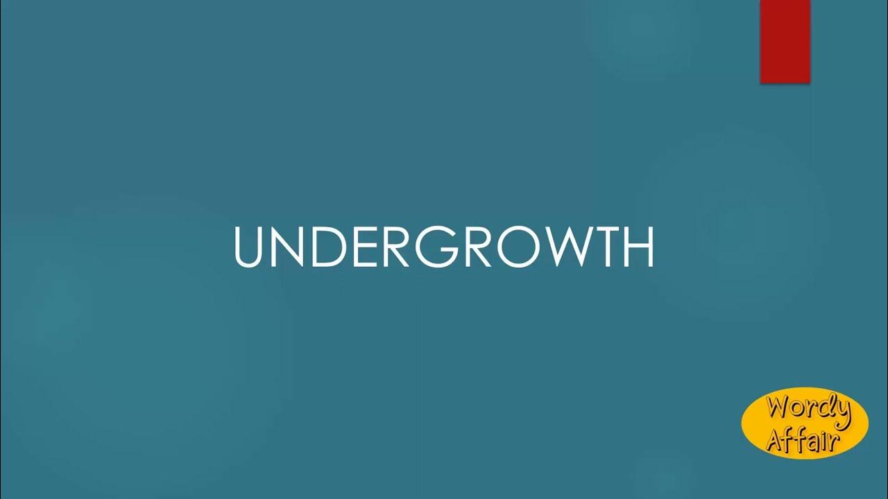 Undergrowth Meaning YouTube