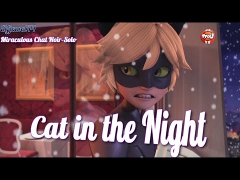 Chat Noir Wallpapers 69 Images