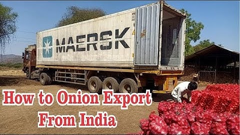 How to Export Onion | Nashik Onion Export | Export Red Onion | Exporter From Nashik | Ocean Agro Exp