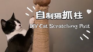 自制猫抓柱教程\/DIY Cat Scratching Post