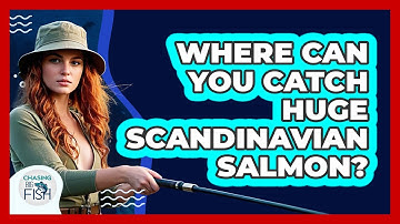Where Can You Catch Huge Scandinavian Salmon? - Chasing Big Fish