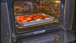 WOLF Convection Steam Oven