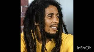 Video thumbnail of "Bob Marley - I Shot The Sheriff"
