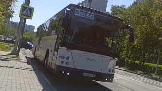 Автобус 419 НИИОХ (Мытищи/Москва) / НИИОХ - Метро Медведково / Поездка за 19.05.2024
