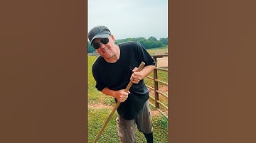 🔥 🐜 🌋 Getting Rid of the Evil 😈 Fire Ants on the Homestead