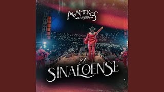El Sinaloense - Los Alameños De La Sierra - (en vivo) -(epicenter)