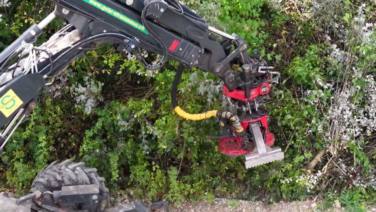 2025-09-29 Holzerei an der Sense. Hochwasserschutz und Revitalisierung