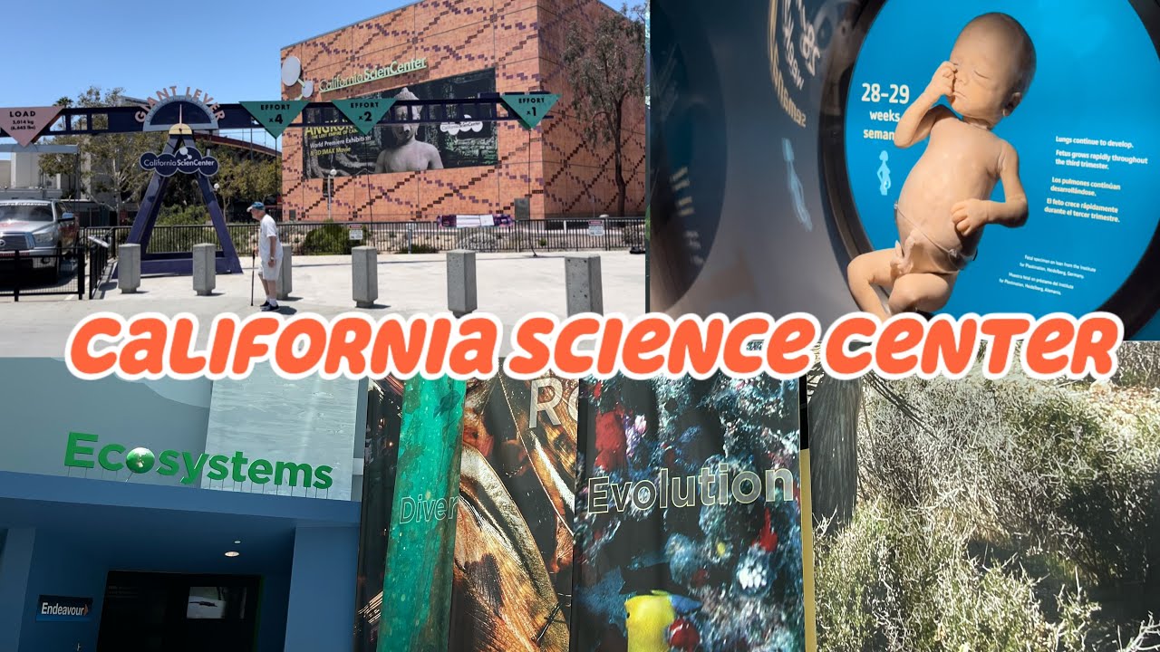 California Science Center Logo Space Shuttle Endeavour At California