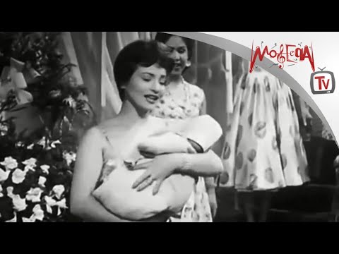 السبوع شادية من فيلم غلطة حبيبي 