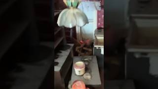 Celebrity I Bought An Abandoned Dolls House #doll #dollhouse #miniatures  #shorts Profile