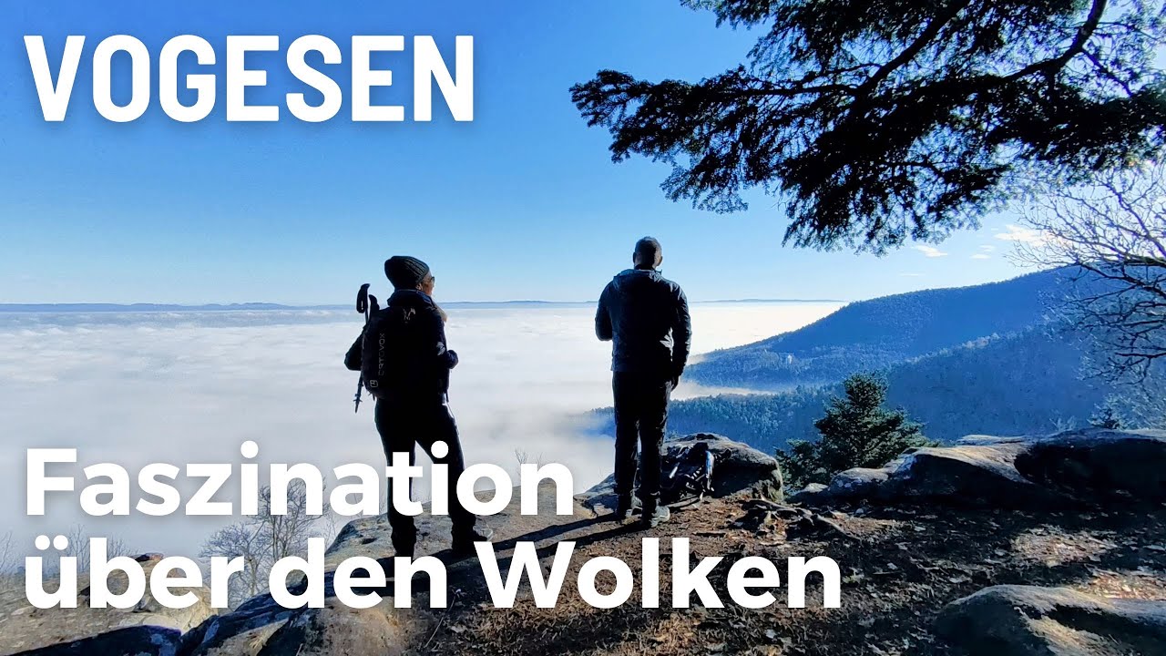 Vogesen ✪ Wanderung Riesenfelsen- & Burgenrunde von Ottrott ✪  Mystische Felsen u. Ausblicke, Elsass