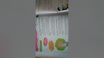 Angel Matriculation School Sankarankovil 3 rd std Science unit 4 Science in Everyday Life