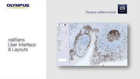 cellSens™ Tutorial: Customizing the User Interface and Layouts