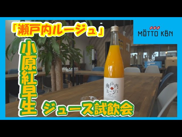 ちょきんぎょ カメラ ジュース缶 ちょきんぎょ カメラ ジュース缶 昭和レトロ ちょきんぎょカメラ