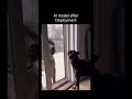 AI ML Models in Production | #funny #aishorts #comedy #machinelearning