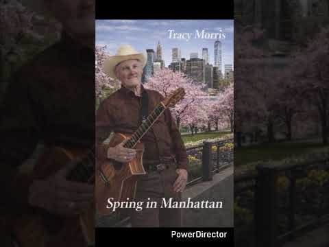Spring in Manhattan by Tracy Morris