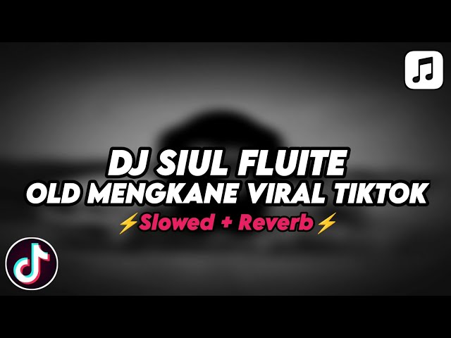 DJ SIUL OLD MENGKANE VIRAL TIKTOK (Slowed+Reverb) class=