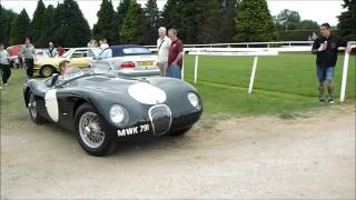 JAGUAR MK Vii  1954 Race Car