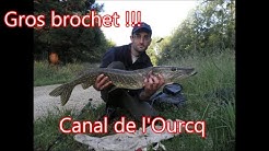 Gros brochet de 98cm pris dans le Canal de l'Ourcq (Mareuil sur Ourcq)