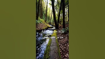 ﴿ وَقَالَ رَجُلٞ مُّؤۡمِنٞ مِّنۡ ءَالِ فِرۡعَوۡنَ﴾سورة غافر – الآية 28 #ارح_قلبك #القرآن_الكريم