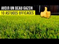 Comment Avoir un BEAU GAZON? 10 Conseils de Pro ! 👍